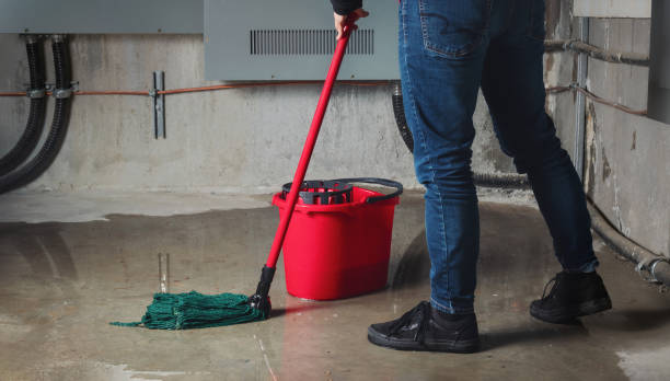 Best 24/7 water damage repair  in Sheridan, OR