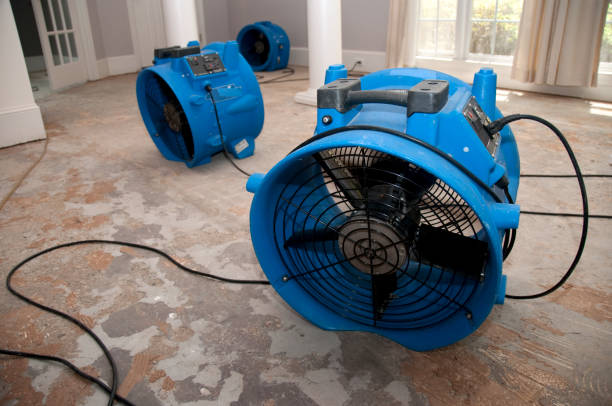 Trusted Sheridan, OR Water damage restoration Experts