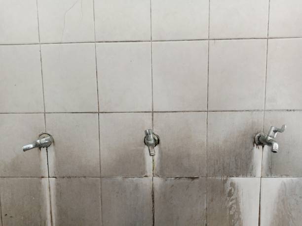 Best Flood restoration services  in Sheridan, OR